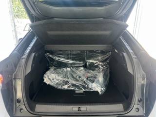 PEUGEOT 3008 usata, con Cronologia tagliandi