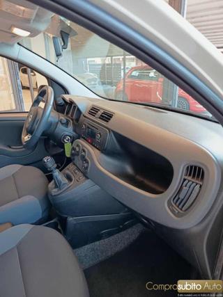 FIAT Panda usata, con Fendinebbia