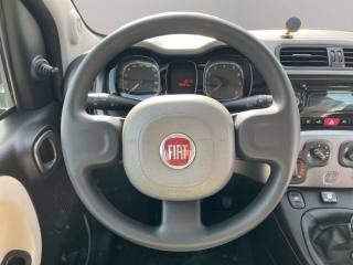 FIAT Panda usata 10