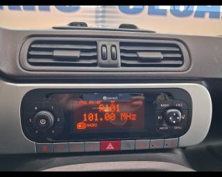 FIAT New Panda usata, con Fendinebbia