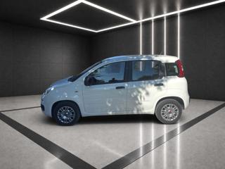 FIAT Panda usata, con Airbag Passeggero
