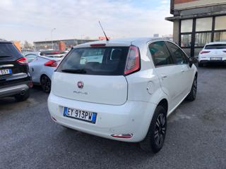 FIAT Punto Evo usata, con Chiusura centralizzata