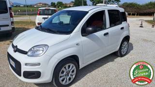 FIAT Panda 0.9 TwinAir Turbo N.Power Van Allestita