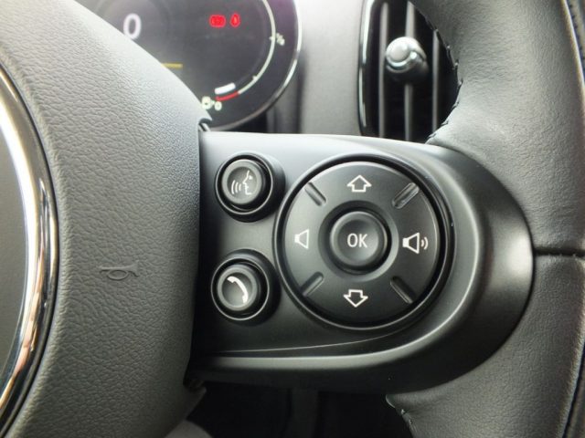 MINI Countryman usata, con Controllo automatico clima