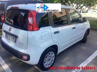 FIAT Panda usata, con Controllo trazione