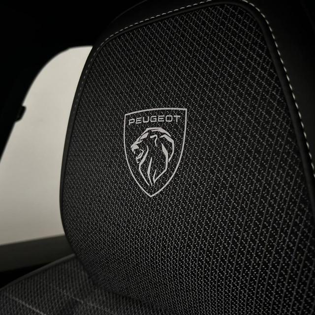 PEUGEOT 3008 usata, con Controllo trazione