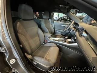 ALFA ROMEO Tonale usata, con Climatizzatore
