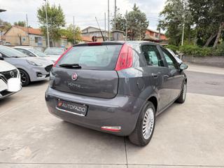 FIAT Punto usata, con Controllo trazione