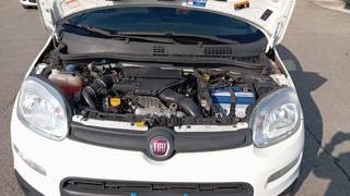 FIAT Panda usata 26