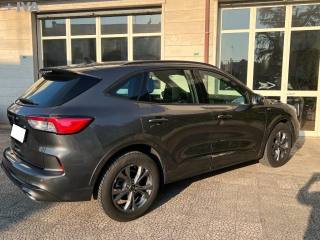 FORD Kuga usata 7