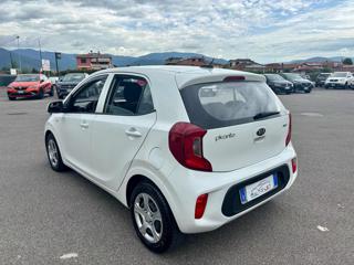 KIA Picanto usata, con Cronologia tagliandi