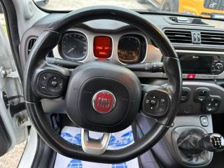 FIAT Panda Cross usata, con Fendinebbia