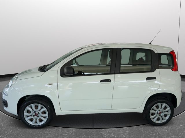 FIAT Panda usata 21