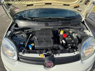 FIAT Panda usata 22