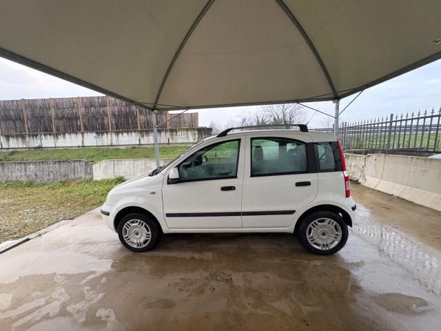 FIAT Panda usata 17