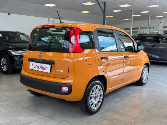 FIAT Panda usata, con Alzacristalli elettrici