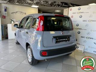 FIAT Panda usata, con Autoradio