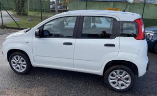 FIAT Panda usata 14