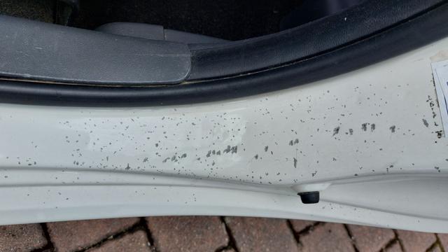 FIAT 500 usata, con Sedile posteriore sdoppiato