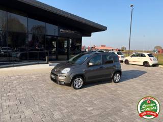 FIAT Panda usata, con Airbag laterali