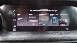 ALFA ROMEO Stelvio usata 101