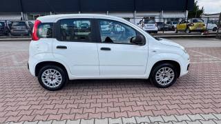 FIAT New Panda 1.2  S.&S. E6D-TEMP EASY 5 POSTI GUIDABILE NEOPA