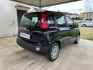 FIAT Panda usata, con Airbag Passeggero