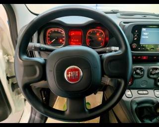 FIAT New Panda usata, con Start/Stop Automatico