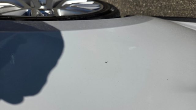 FORD Mustang usata, con Chiusura centralizzata