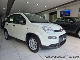 FIAT Panda usata, con Airbag Passeggero