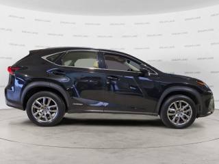 LEXUS NX 300 usata, con Autoradio