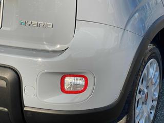 FIAT Panda 1.0 FireFly S&S Hybrid 6 marce Euro6D