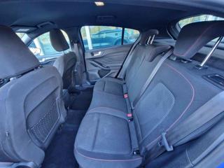 FORD Focus usata, con Fendinebbia