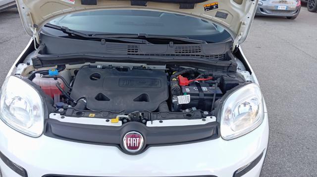 FIAT Panda usata, con Ruotino