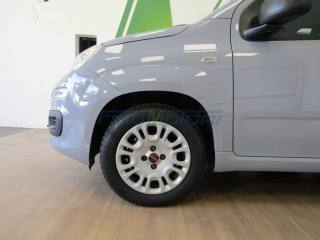 FIAT Panda usata, con Alzacristalli elettrici