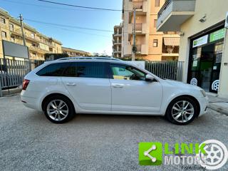 SKODA Octavia usata 13