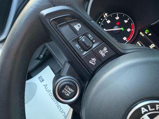 ALFA ROMEO Stelvio usata, con Immobilizzatore elettronico