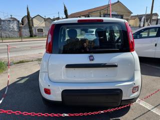 FIAT Panda usata, con Alzacristalli elettrici