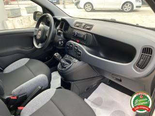 FIAT Panda usata, con USB