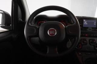 FIAT Panda usata 12
