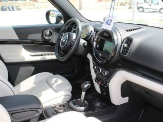 MINI Countryman usata, con Fendinebbia