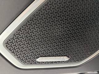 LAMBORGHINI Urus usata, con Interni in pelle