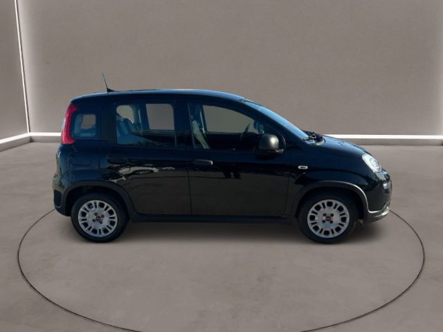 FIAT Panda usata, con Climatizzatore