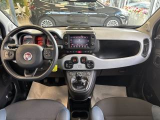 FIAT Panda usata, con Controllo trazione