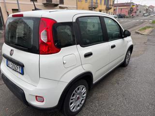 FIAT Panda usata, con Antifurto