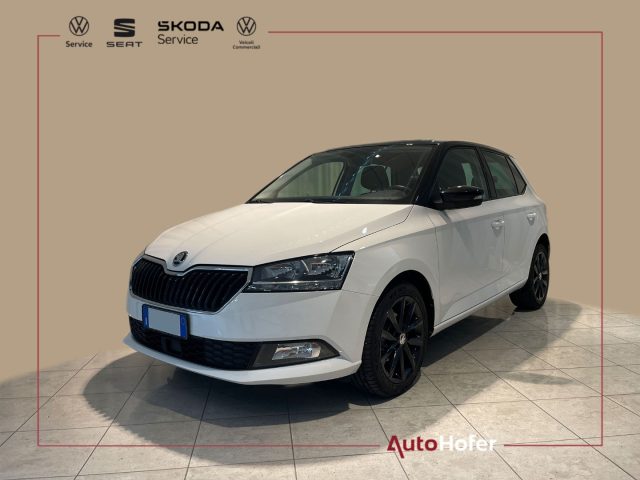 SKODA Fabia usata, con ABS