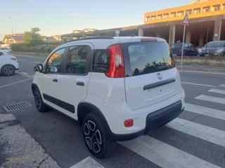 FIAT Panda usata, con Alzacristalli elettrici