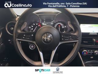 ALFA ROMEO Giulia usata, con Controllo trazione
