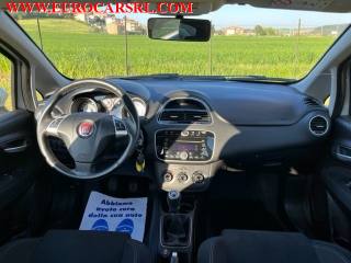 FIAT Punto usata 21