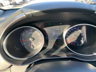 KIA Ceed usata, con Fendinebbia